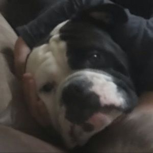 Meet your Posher, Jay